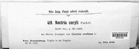 Nectria coryli image